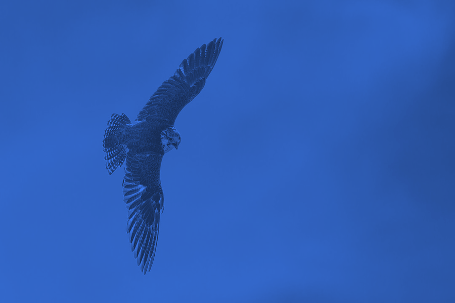 How to Select a SIEM for CrowdStrike