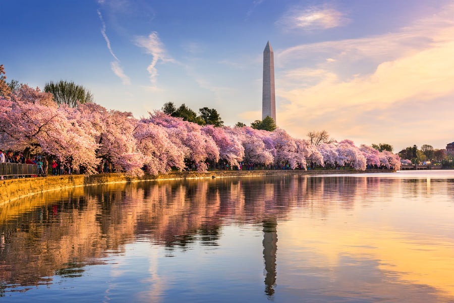 L0pht’s Senate Testimony: A Turning Point in Security Awareness